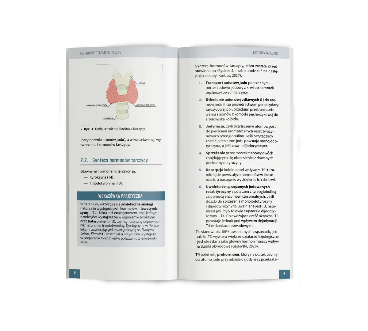 Monografia6(TARCZ) - wizualka rozkładówka1_v2
