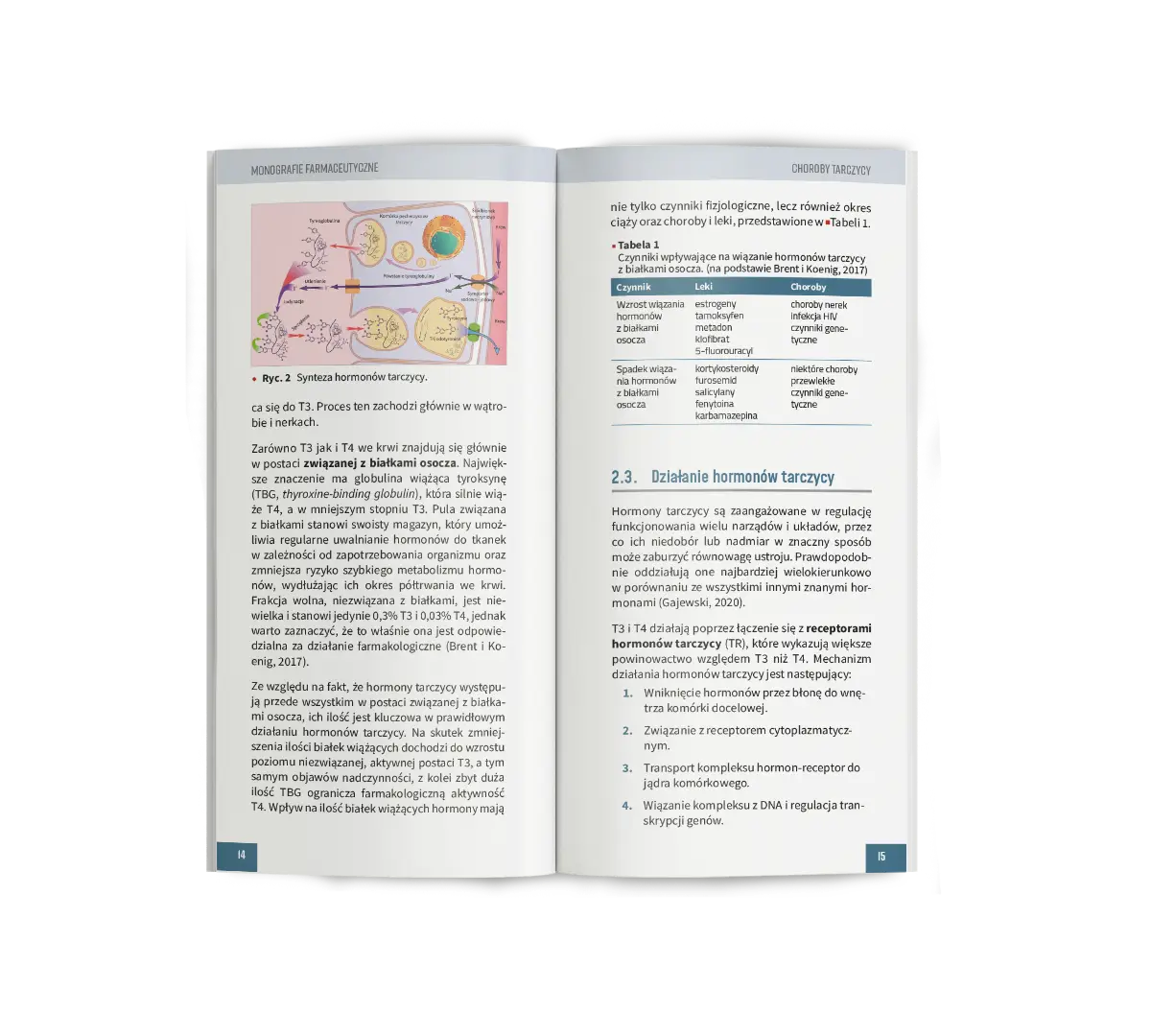 Monografia6(TARCZ) - wizualka rozkładówka2_v2