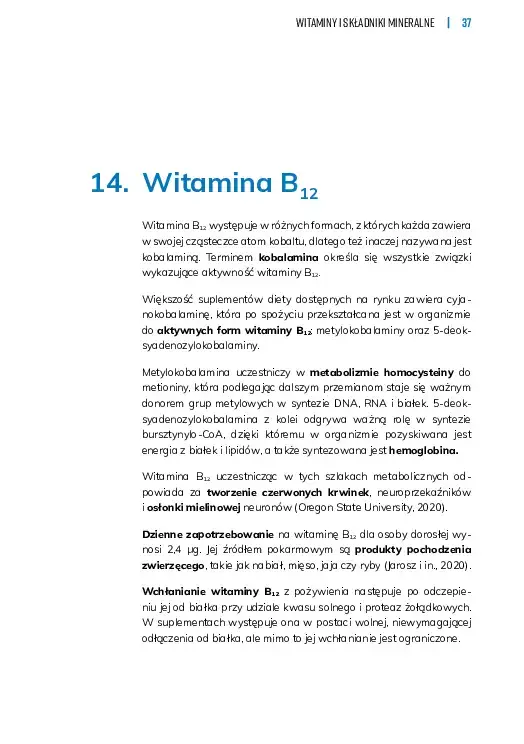 E-WIT-Spis-tresci_v1 (1)-10