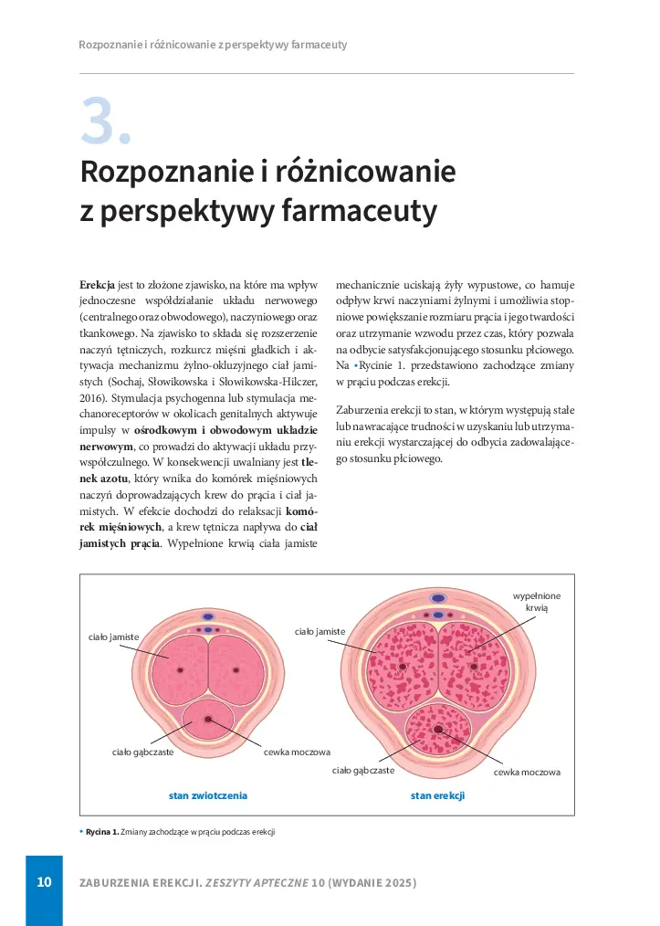 ZA10 Spis treści-10