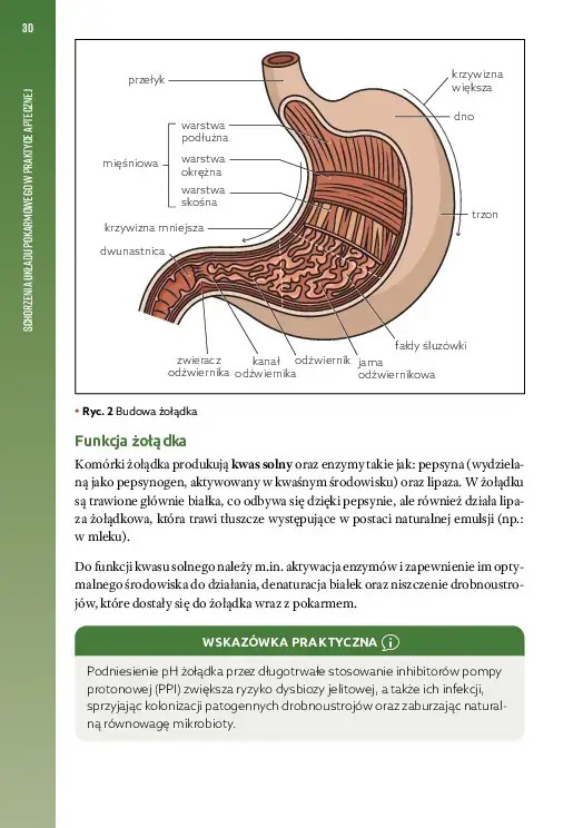 GASTRO-Spis-tresci_v1-11
