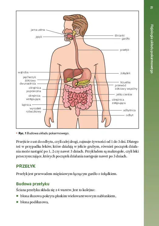 GASTRO-Spis-tresci_v1-8
