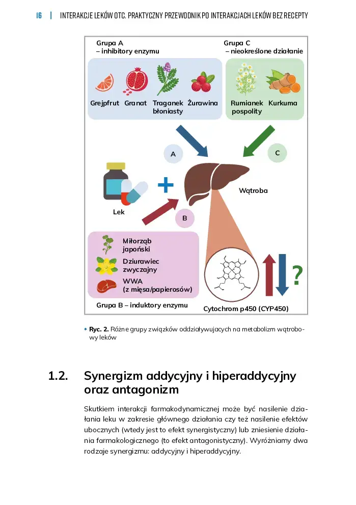 INTEROTC-Spis-tresci_v1-13